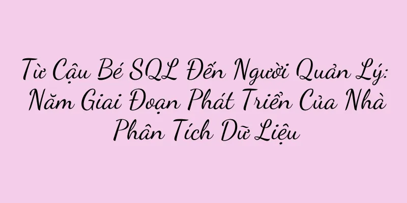 Từ Cậu Bé SQL Đến Người Quản Lý: Năm Giai Đoạn Phát Triển Của Nhà Phân Tích Dữ Liệu