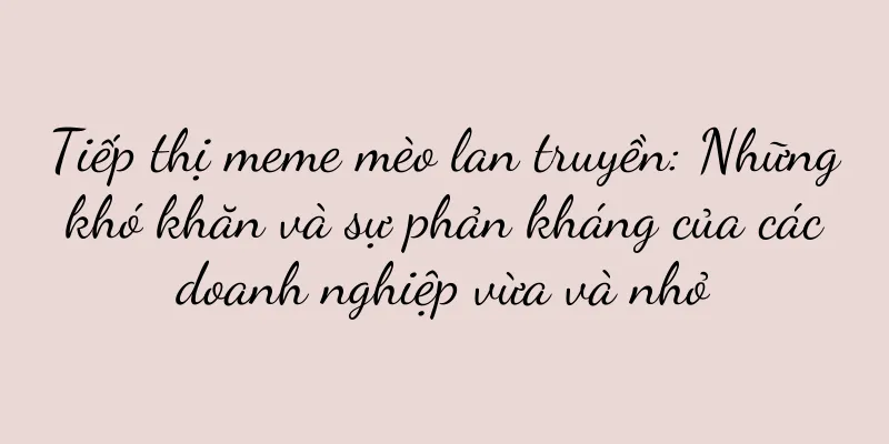 Tiếp thị meme mèo lan truyền: Những khó khăn và sự phản kháng của các doanh nghiệp vừa và nhỏ