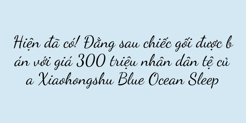 Hiện đã có! Đằng sau chiếc gối được bán với giá 300 triệu nhân dân tệ của Xiaohongshu Blue Ocean Sleep