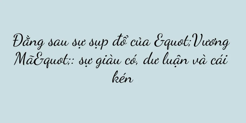 Đằng sau sự sụp đổ của "Vương Mã": sự giàu có, dư luận và cái kén