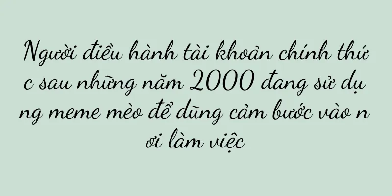Người điều hành tài khoản chính thức sau những năm 2000 đang sử dụng meme mèo để dũng cảm bước vào nơi làm việc