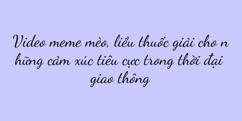 Video meme mèo, liều thuốc giải cho những cảm xúc tiêu cực trong thời đại giao thông