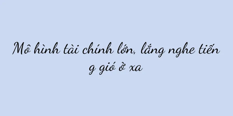 Mô hình tài chính lớn, lắng nghe tiếng gió ở xa
