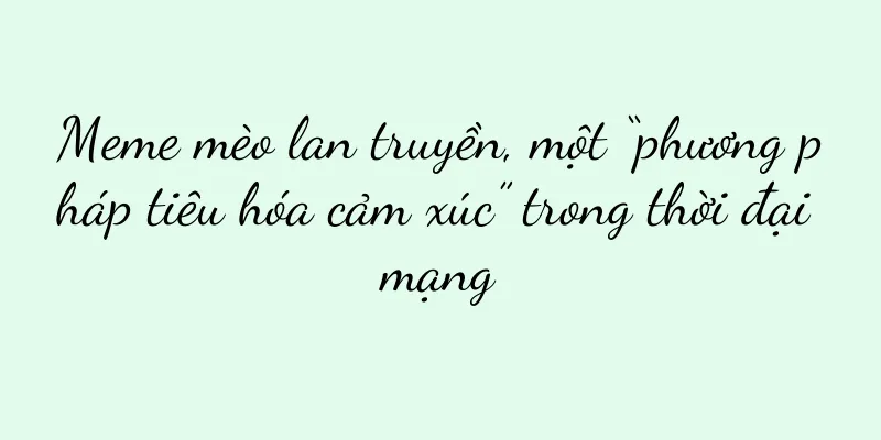 Meme mèo lan truyền, một “phương pháp tiêu hóa cảm xúc” trong thời đại mạng