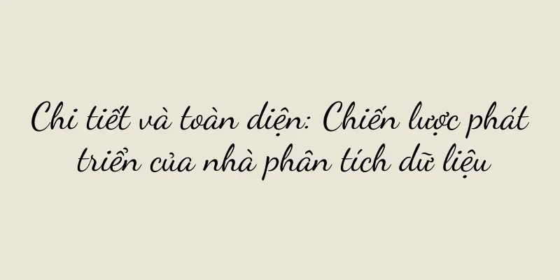 Chi tiết và toàn diện: Chiến lược phát triển của nhà phân tích dữ liệu