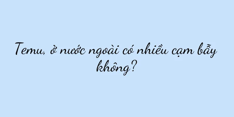 Temu, ở nước ngoài có nhiều cạm bẫy không?