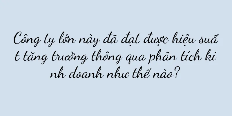 Công ty lớn này đã đạt được hiệu suất tăng trưởng thông qua phân tích kinh doanh như thế nào?