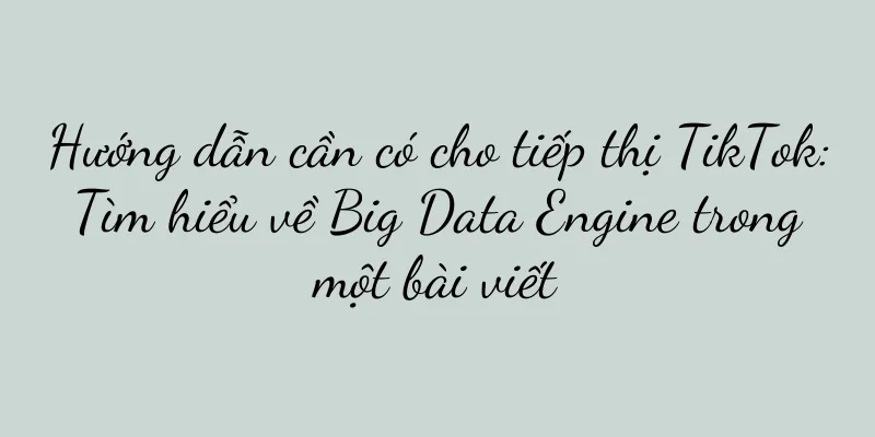 Hướng dẫn cần có cho tiếp thị TikTok: Tìm hiểu về Big Data Engine trong một bài viết