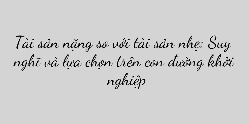 Tài sản nặng so với tài sản nhẹ: Suy nghĩ và lựa chọn trên con đường khởi nghiệp