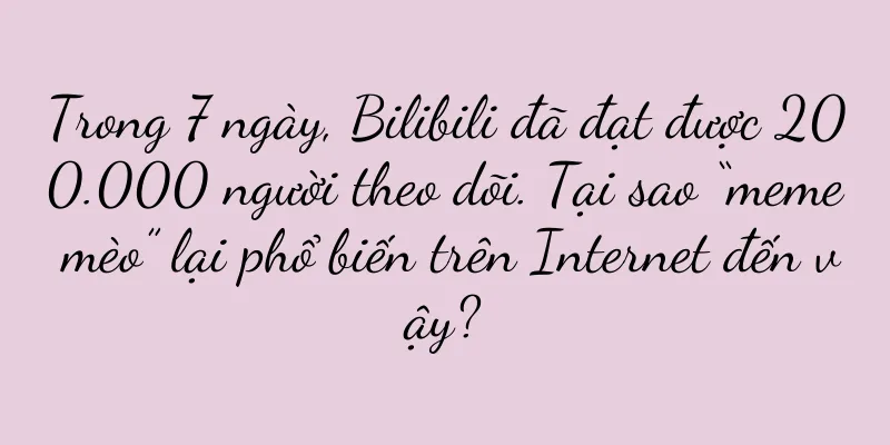 Trong 7 ngày, Bilibili đã đạt được 200.000 người theo dõi. Tại sao “meme mèo” lại phổ biến trên Internet đến vậy?