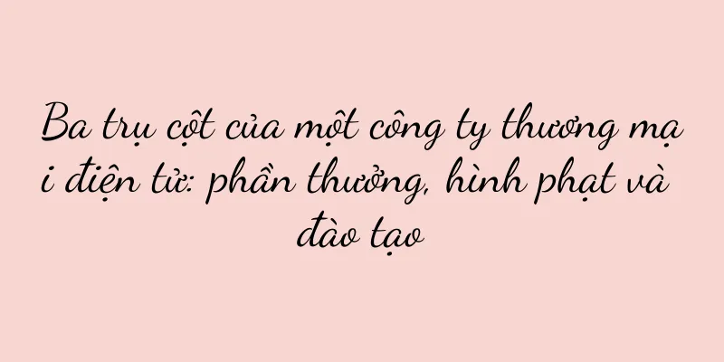 Ba trụ cột của một công ty thương mại điện tử: phần thưởng, hình phạt và đào tạo