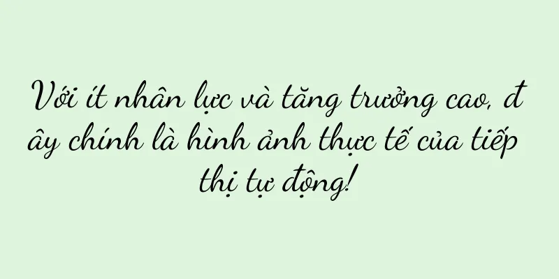 Với ít nhân lực và tăng trưởng cao, đây chính là hình ảnh thực tế của tiếp thị tự động!
