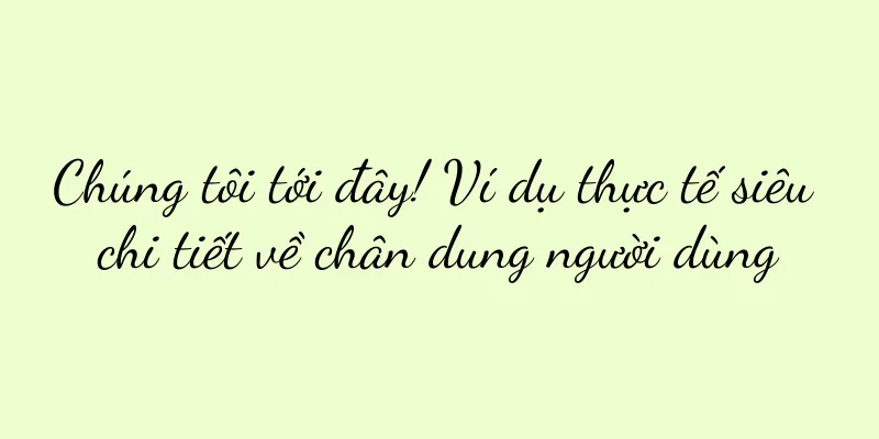 Chúng tôi tới đây! Ví dụ thực tế siêu chi tiết về chân dung người dùng