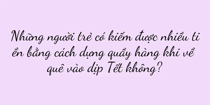 Những người trẻ có kiếm được nhiều tiền bằng cách dựng quầy hàng khi về quê vào dịp Tết không?