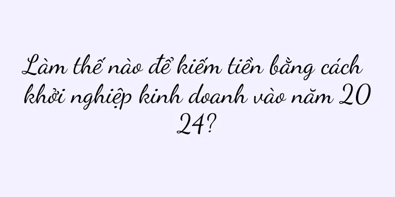 Làm thế nào để kiếm tiền bằng cách khởi nghiệp kinh doanh vào năm 2024?