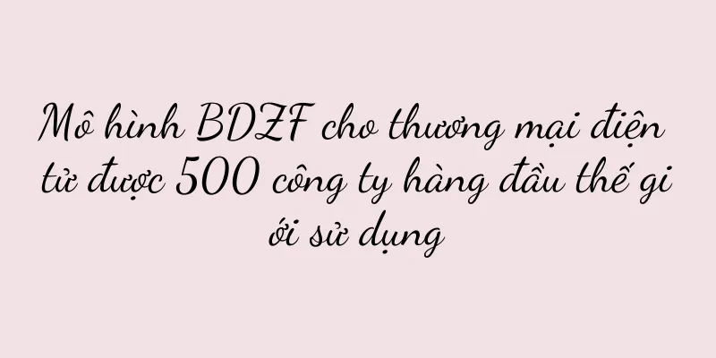 Mô hình BDZF cho thương mại điện tử được 500 công ty hàng đầu thế giới sử dụng