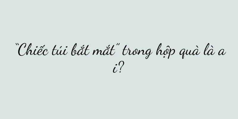 “Chiếc túi bắt mắt” trong hộp quà là ai?