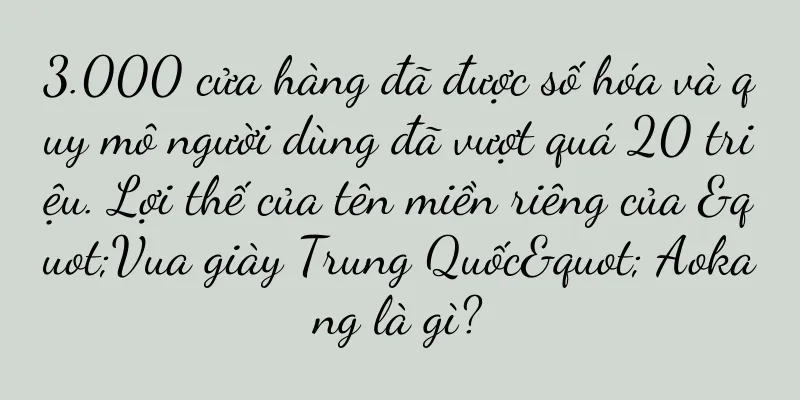 3.000 cửa hàng đã được số hóa và quy mô người dùng đã vượt quá 20 triệu. Lợi thế của tên miền riêng của "Vua giày Trung Quốc" Aokang là gì?