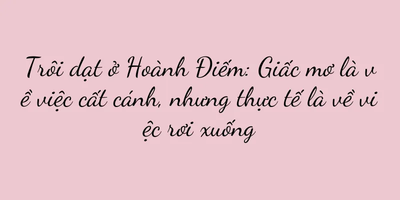Trôi dạt ở Hoành Điếm: Giấc mơ là về việc cất cánh, nhưng thực tế là về việc rơi xuống