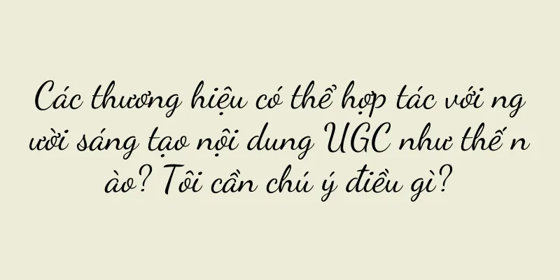 Các thương hiệu có thể hợp tác với người sáng tạo nội dung UGC như thế nào? Tôi cần chú ý điều gì?