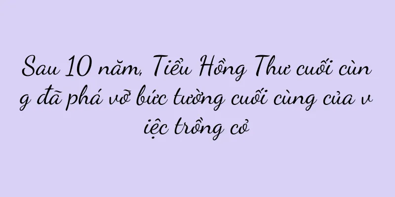Sau 10 năm, Tiểu Hồng Thư cuối cùng đã phá vỡ bức tường cuối cùng của việc trồng cỏ