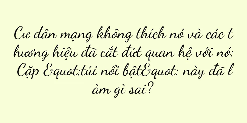 Cư dân mạng không thích nó và các thương hiệu đã cắt đứt quan hệ với nó: Cặp "túi nổi bật" này đã làm gì sai?