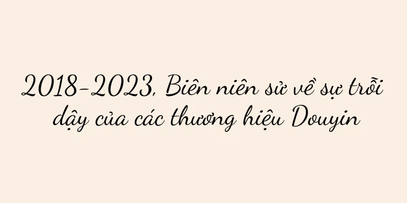 2018-2023, Biên niên sử về sự trỗi dậy của các thương hiệu Douyin