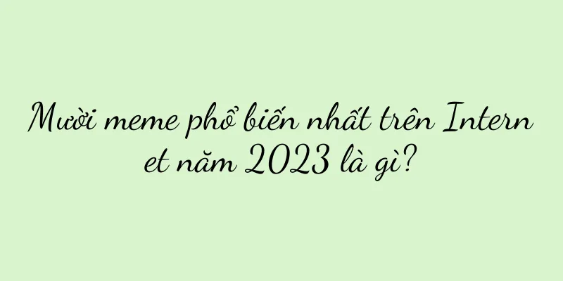 Mười meme phổ biến nhất trên Internet năm 2023 là gì?