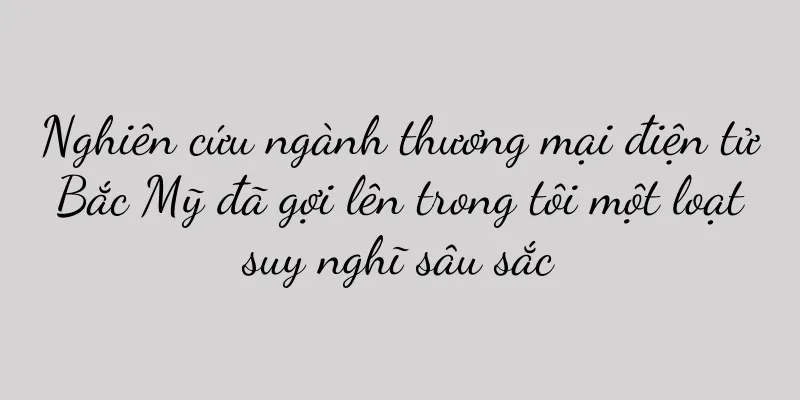 Nghiên cứu ngành thương mại điện tử Bắc Mỹ đã gợi lên trong tôi một loạt suy nghĩ sâu sắc