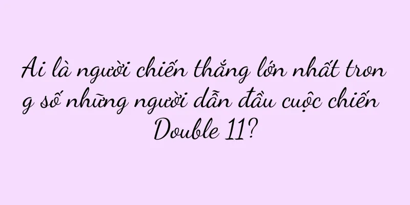 Ai là người chiến thắng lớn nhất trong số những người dẫn đầu cuộc chiến Double 11?