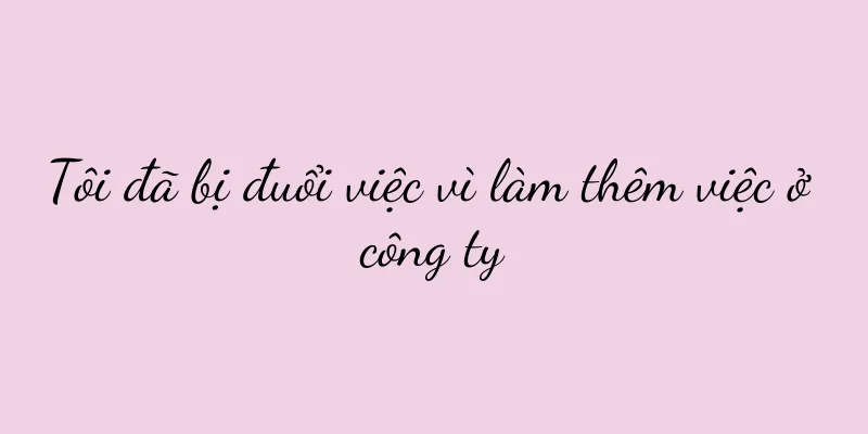 Tôi đã bị đuổi việc vì làm thêm việc ở công ty