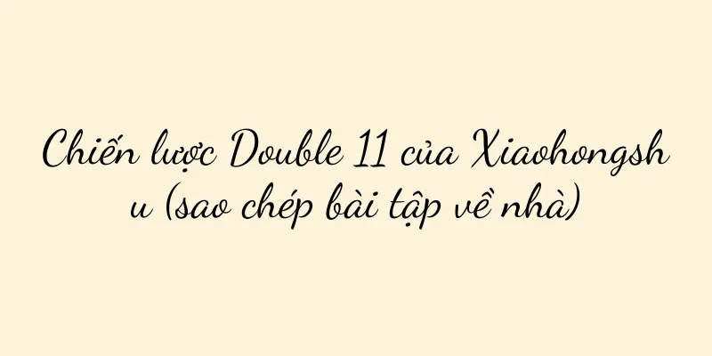 Chiến lược Double 11 của Xiaohongshu (sao chép bài tập về nhà)