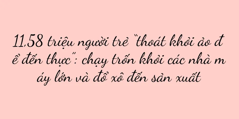 11,58 triệu người trẻ “thoát khỏi ảo để đến thực”: chạy trốn khỏi các nhà máy lớn và đổ xô đến sản xuất