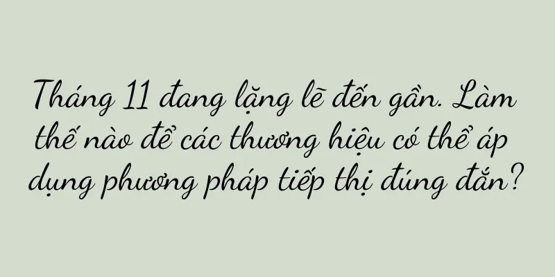 Tháng 11 đang lặng lẽ đến gần. Làm thế nào để các thương hiệu có thể áp dụng phương pháp tiếp thị đúng đắn?
