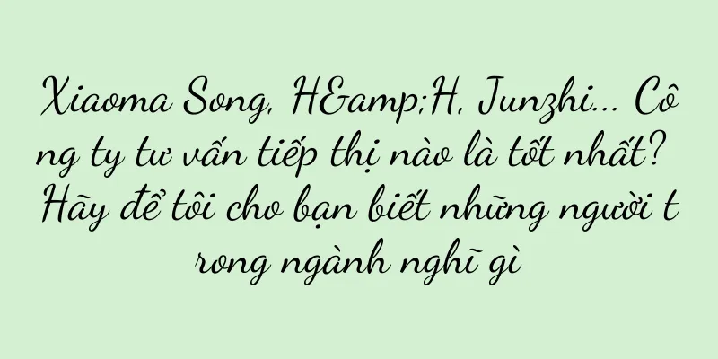 Xiaoma Song, H&H, Junzhi... Công ty tư vấn tiếp thị nào là tốt nhất? Hãy để tôi cho bạn biết những người trong ngành nghĩ gì