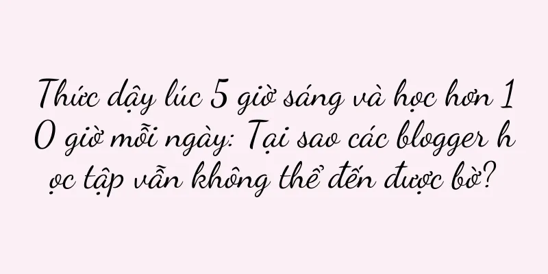 Thức dậy lúc 5 giờ sáng và học hơn 10 giờ mỗi ngày: Tại sao các blogger học tập vẫn không thể đến được bờ?