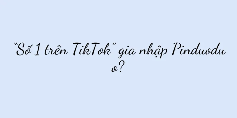 “Số 1 trên TikTok” gia nhập Pinduoduo?