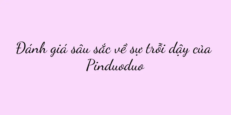 Đánh giá sâu sắc về sự trỗi dậy của Pinduoduo