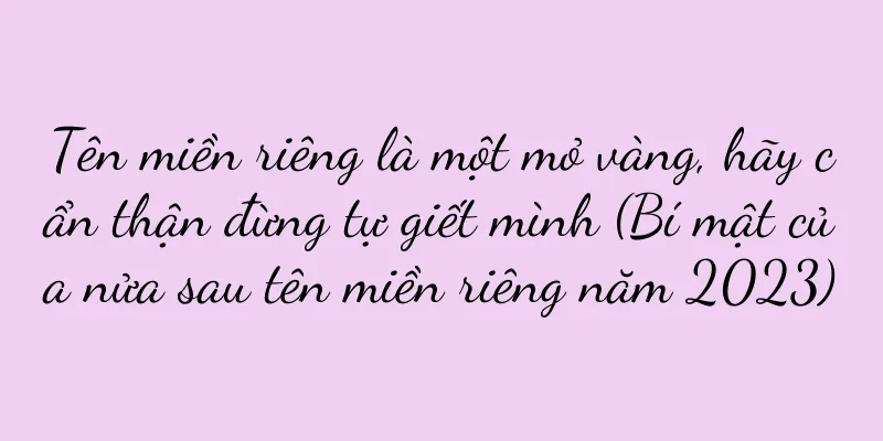 Tên miền riêng là một mỏ vàng, hãy cẩn thận đừng tự giết mình (Bí mật của nửa sau tên miền riêng năm 2023)