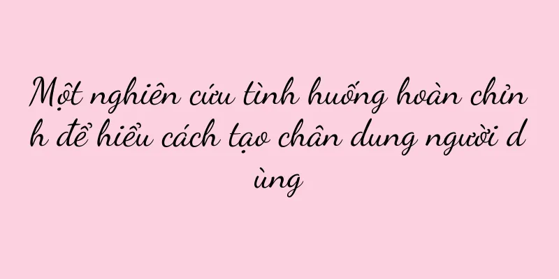 Một nghiên cứu tình huống hoàn chỉnh để hiểu cách tạo chân dung người dùng