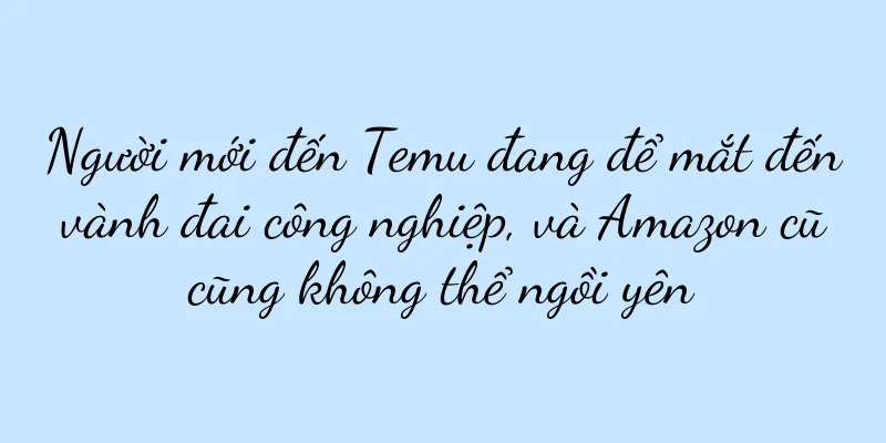 Người mới đến Temu đang để mắt đến vành đai công nghiệp, và Amazon cũ cũng không thể ngồi yên