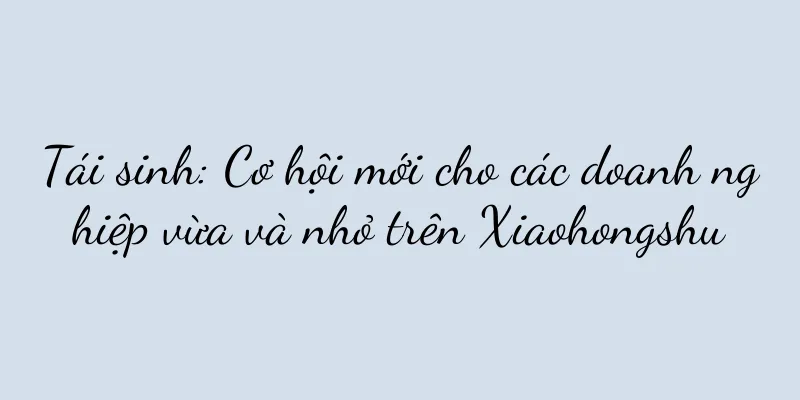Tái sinh: Cơ hội mới cho các doanh nghiệp vừa và nhỏ trên Xiaohongshu