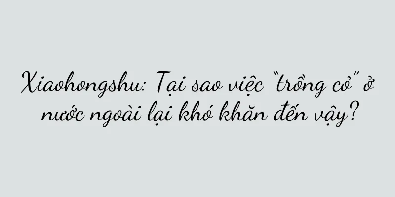 Xiaohongshu: Tại sao việc “trồng cỏ” ở nước ngoài lại khó khăn đến vậy?