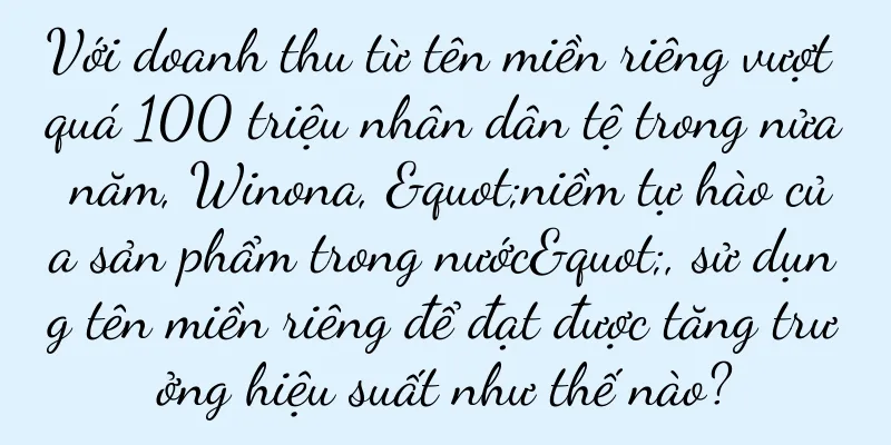 Với doanh thu từ tên miền riêng vượt quá 100 triệu nhân dân tệ trong nửa năm, Winona, "niềm tự hào của sản phẩm trong nước", sử dụng tên miền riêng để đạt được tăng trưởng hiệu suất như thế nào?