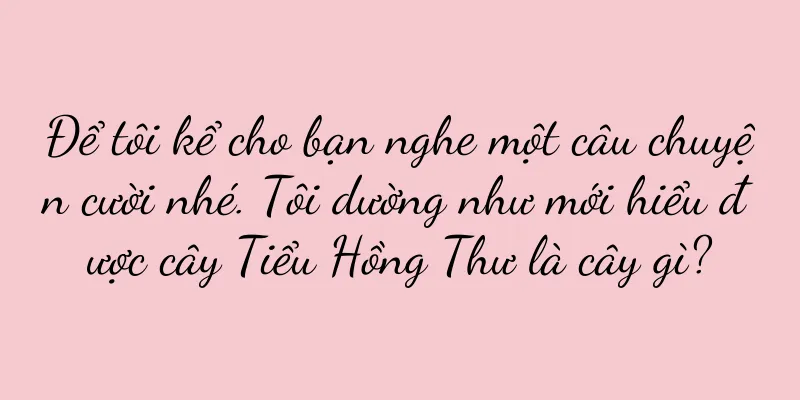 Để tôi kể cho bạn nghe một câu chuyện cười nhé. Tôi dường như mới hiểu được cây Tiểu Hồng Thư là cây gì?