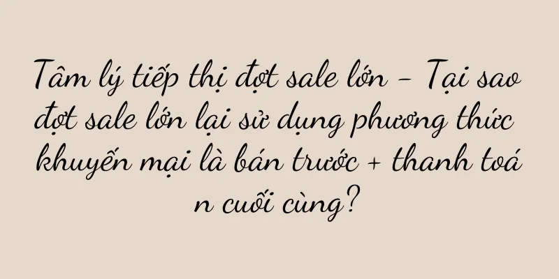 Tâm lý tiếp thị đợt sale lớn - Tại sao đợt sale lớn lại sử dụng phương thức khuyến mại là bán trước + thanh toán cuối cùng?