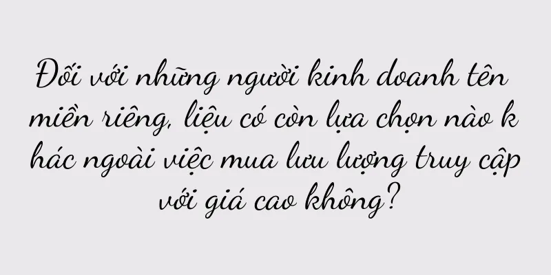 Đối với những người kinh doanh tên miền riêng, liệu có còn lựa chọn nào khác ngoài việc mua lưu lượng truy cập với giá cao không?