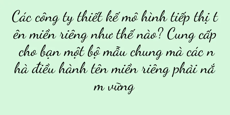 Các công ty thiết kế mô hình tiếp thị tên miền riêng như thế nào? Cung cấp cho bạn một bộ mẫu chung mà các nhà điều hành tên miền riêng phải nắm vững