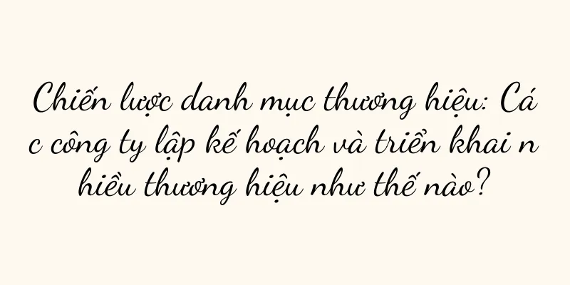 Chiến lược danh mục thương hiệu: Các công ty lập kế hoạch và triển khai nhiều thương hiệu như thế nào?