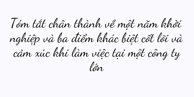 Tóm tắt chân thành về một năm khởi nghiệp và ba điểm khác biệt cốt lõi và cảm xúc khi làm việc tại một công ty lớn
